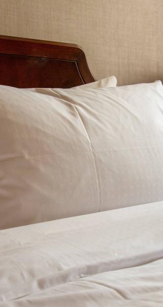 Accommodation in Opotiki, New Zealand