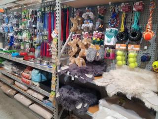 Pet Care Products & Accessories