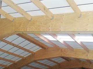 Shed Interior