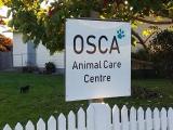 Opotiki Society for the Care of Animals
