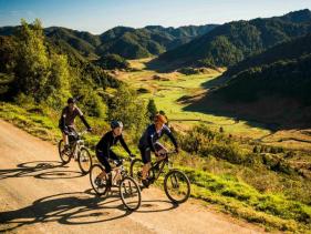 Motu Trails, Opotiki, New Zealand