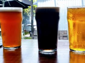 XRD Brewery, Craft Beer, Opotiki
