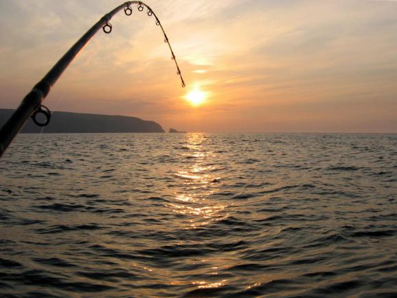 Fishing, Opotiki